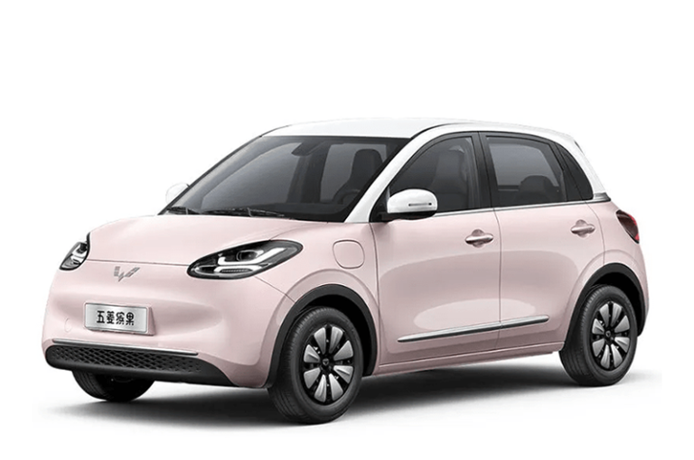 Wuling Bingo