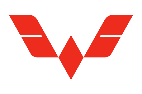 Wuling Car Logo